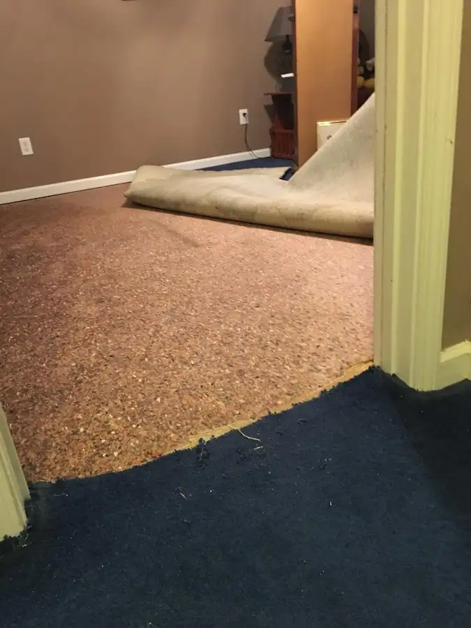 Carpet pad removal revealing water damage during Water Mitigation Services in Farmington Hills
