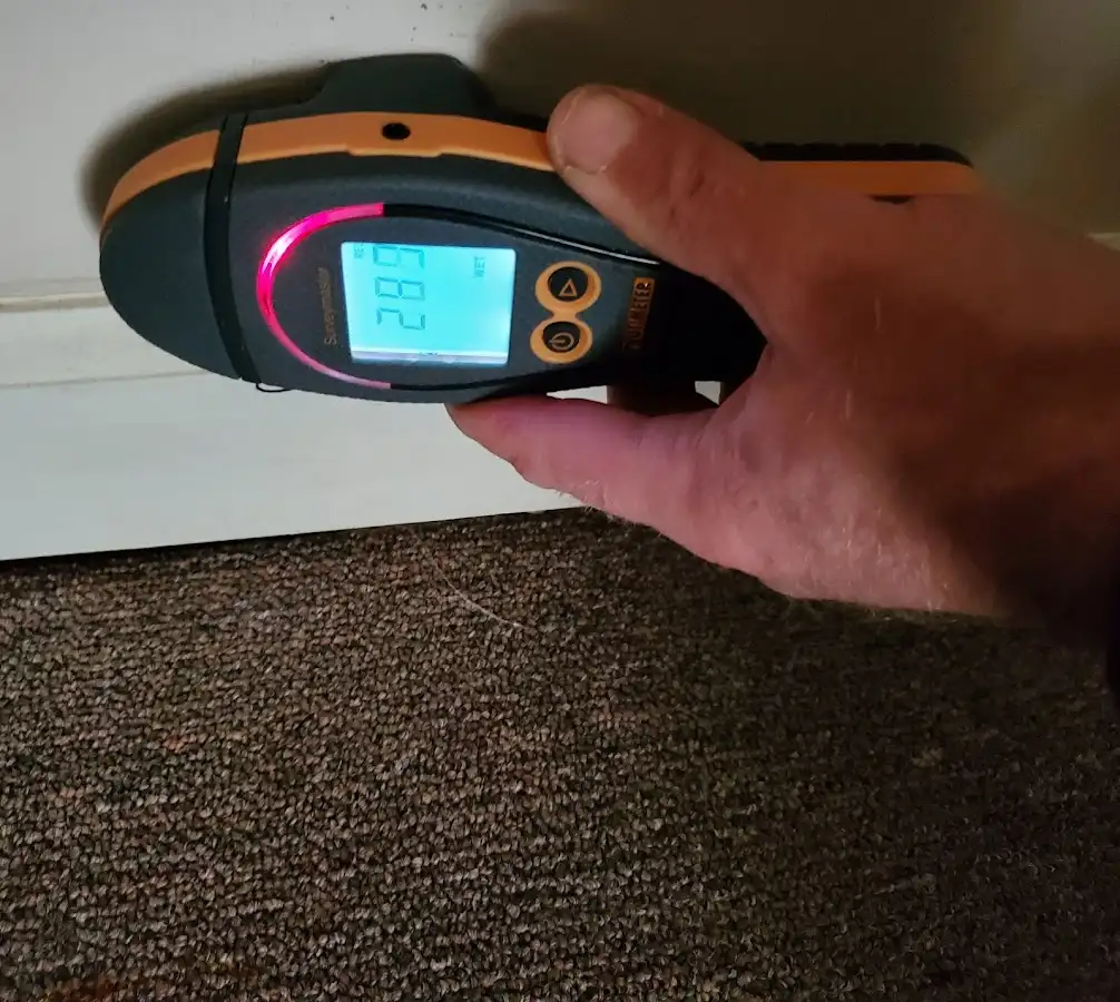 Moisture detection at baseboard during Sewage Cleanup & Sanitation in Farmington Hills